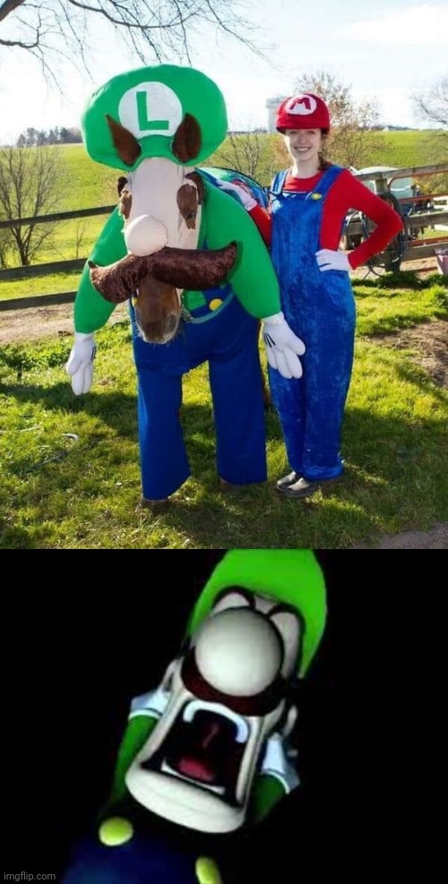 Poor Luigi especially | image tagged in luigi screaming,mario,luigi,you had one job,memes,design fails | made w/ Imgflip meme maker