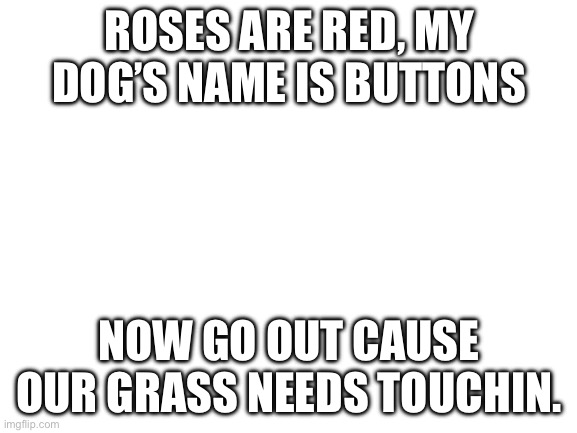 Grass | ROSES ARE RED, MY DOG’S NAME IS BUTTONS; NOW GO OUT CAUSE OUR GRASS NEEDS TOUCHIN. | image tagged in blank white template,legolas | made w/ Imgflip meme maker