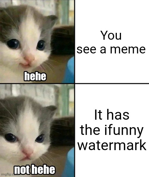 ifunny=tresh | You see a meme; It has the ifunny watermark | image tagged in cute cat hehe and not hehe,ifunny sux,memes | made w/ Imgflip meme maker