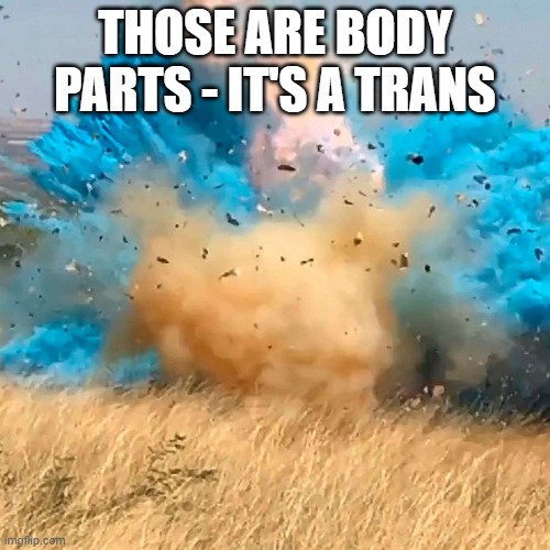 Gender Reveal | THOSE ARE BODY PARTS - IT'S A TRANS | image tagged in gender reveal | made w/ Imgflip meme maker