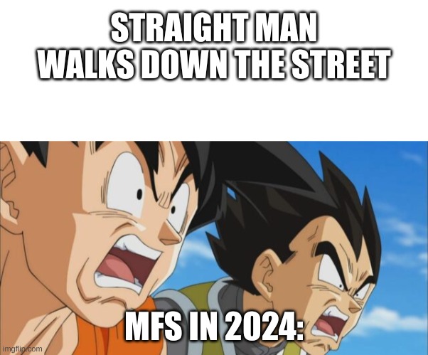 2024 is close than u think | STRAIGHT MAN WALKS DOWN THE STREET; MFS IN 2024: | image tagged in dbs goku and vegetable | made w/ Imgflip meme maker