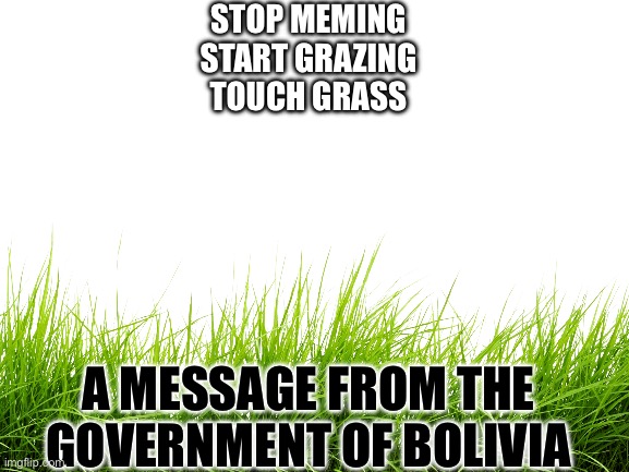 Bolivia grass | STOP MEMING
START GRAZING
TOUCH GRASS; A MESSAGE FROM THE GOVERNMENT OF BOLIVIA | image tagged in legolas,despicable me diabolical plan gru template | made w/ Imgflip meme maker
