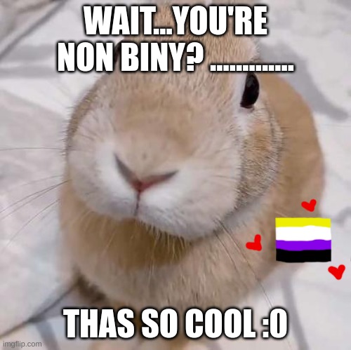 I saw one for transgender. I don't know if someone has done this w/the cat, but I did it w/the bunny which is my favorite animal | WAIT...YOU'RE NON BINY? ............. THAS SO COOL :0 | image tagged in slungus,non binary,yessir | made w/ Imgflip meme maker