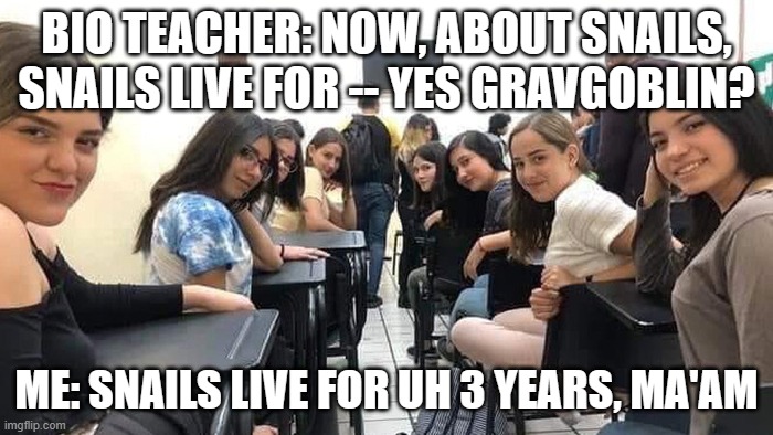 why's everyone looking at me? | BIO TEACHER: NOW, ABOUT SNAILS, SNAILS LIVE FOR -- YES GRAVGOBLIN? ME: SNAILS LIVE FOR UH 3 YEARS, MA'AM | image tagged in everyone looking at you | made w/ Imgflip meme maker