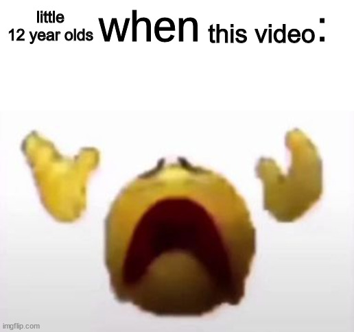 User When Offended: | little 12 year olds this video | image tagged in user when offended | made w/ Imgflip meme maker