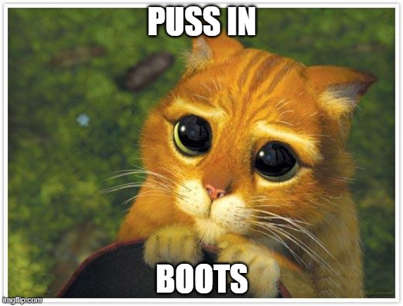 Shrek Cat | PUSS IN; BOOTS | image tagged in memes,shrek cat | made w/ Imgflip meme maker