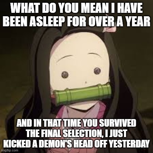 Nezuko Brain Be Like | WHAT DO YOU MEAN I HAVE BEEN ASLEEP FOR OVER A YEAR; AND IN THAT TIME YOU SURVIVED THE FINAL SELECTION, I JUST KICKED A DEMON'S HEAD OFF YESTERDAY | image tagged in a confused nezuko | made w/ Imgflip meme maker