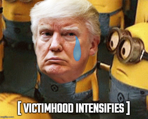 im such a victim here... | image tagged in victim,trump,a surprise to be sure,are you sure,im pretty sure it doesnt,gop hypocrite | made w/ Imgflip meme maker