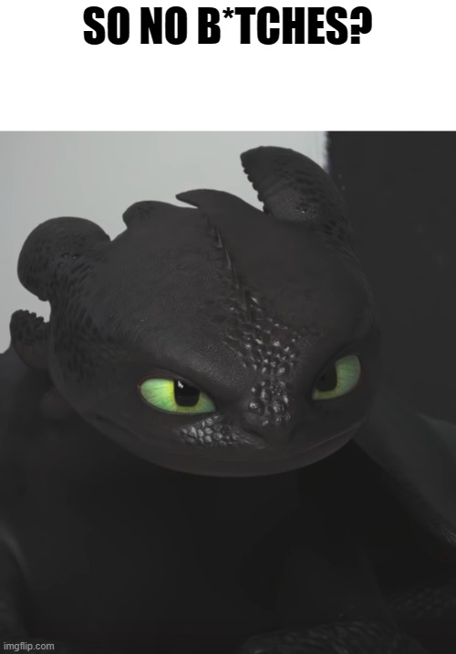 Toothless no b*tches | SO NO B*TCHES? | image tagged in funny,toothless | made w/ Imgflip meme maker