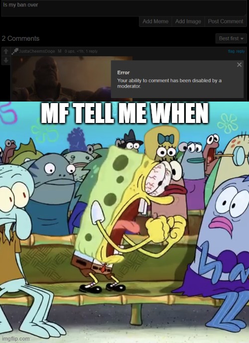 MF TELL ME WHEN | image tagged in spongebob yelling | made w/ Imgflip meme maker