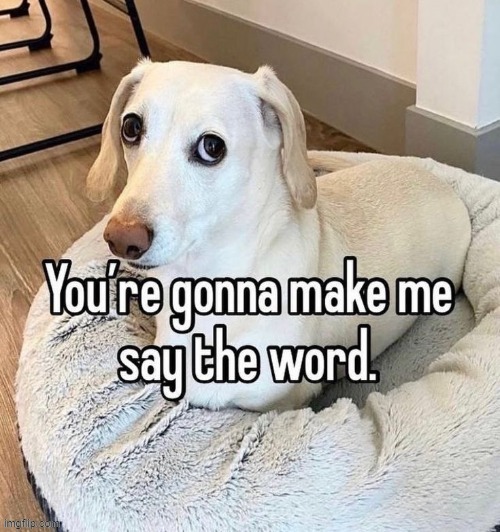 you're going to make me say the word | image tagged in you're going to make me say the word | made w/ Imgflip meme maker