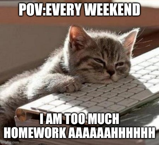 Aaaaahhhahahahhahahha | POV:EVERY WEEKEND; I AM TOO MUCH HOMEWORK AAAAAAHHHHHH | image tagged in tired cat | made w/ Imgflip meme maker