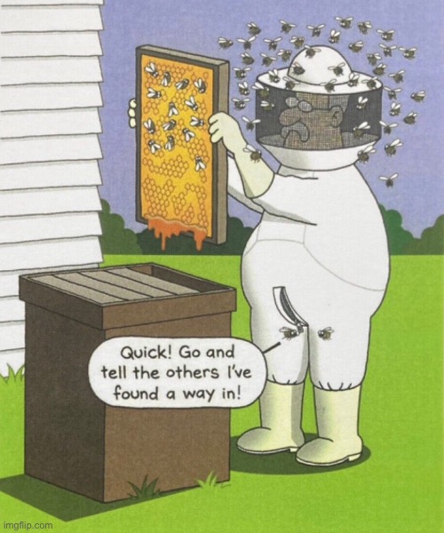 Honey bee | image tagged in the honey man,bee,come guys,found a way in,comics | made w/ Imgflip meme maker