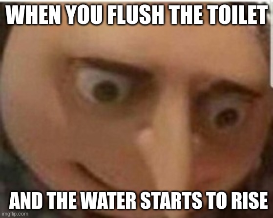 true | WHEN YOU FLUSH THE TOILET; AND THE WATER STARTS TO RISE | image tagged in googoo,gaga | made w/ Imgflip meme maker