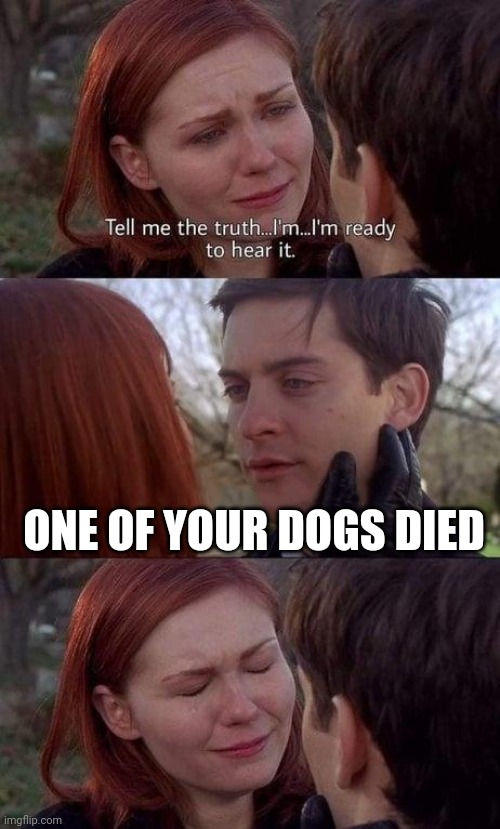 Tell me the truth, I'm ready to hear it | ONE OF YOUR DOGS DIED | image tagged in tell me the truth i'm ready to hear it | made w/ Imgflip meme maker