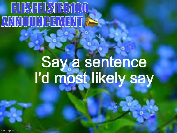 EliseElsie8100 Announcement | Say a sentence I'd most likely say | image tagged in eliseelsie8100 announcement | made w/ Imgflip meme maker