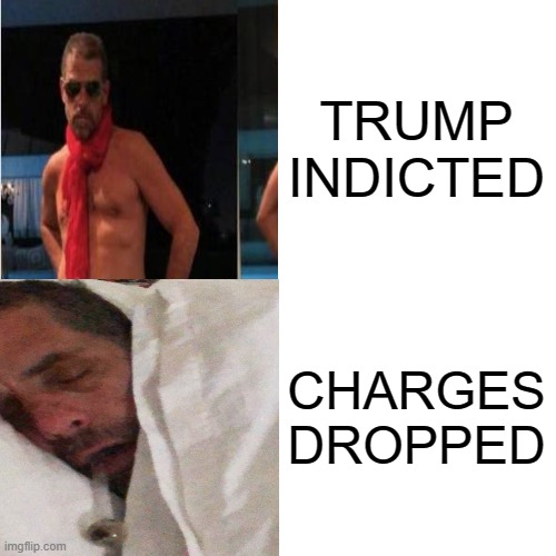 The eventual outcome for haters of Trump | TRUMP INDICTED; CHARGES DROPPED | image tagged in memes,drake hotline bling | made w/ Imgflip meme maker