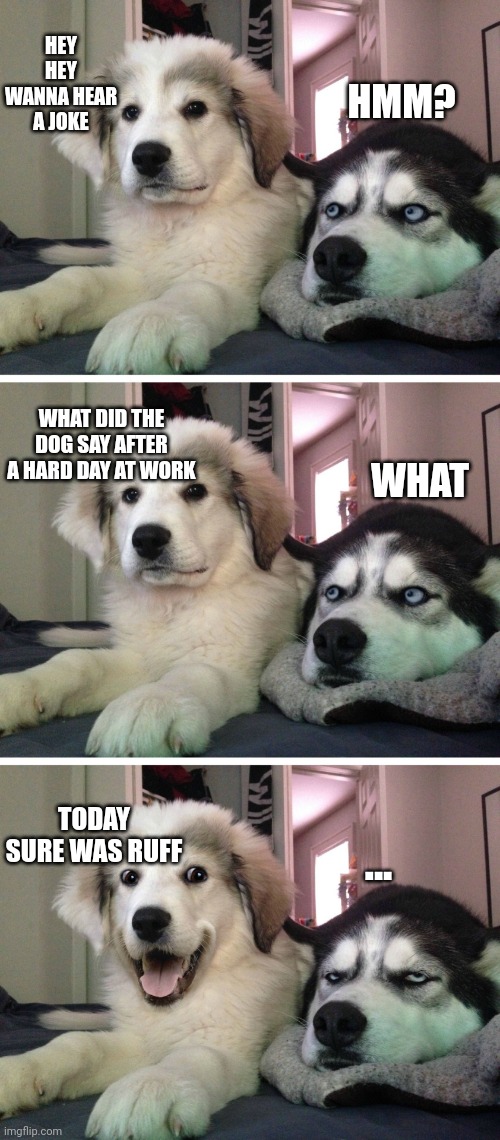 Ba dum tssssss | HEY HEY WANNA HEAR A JOKE; HMM? WHAT DID THE DOG SAY AFTER A HARD DAY AT WORK; WHAT; TODAY SURE WAS RUFF; ... | image tagged in bad pun dogs,memes | made w/ Imgflip meme maker