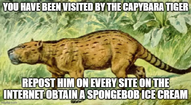 i mean ALL sites1 | YOU HAVE BEEN VISITED BY THE CAPYBARA TIGER; REPOST HIM ON EVERY SITE ON THE INTERNET OBTAIN A SPONGEBOB ICE CREAM | image tagged in capybara,capybara tiger | made w/ Imgflip meme maker