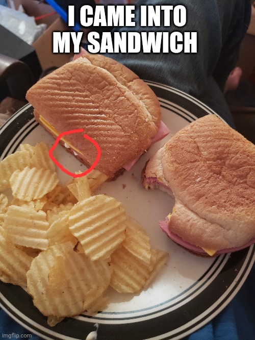 Real | I CAME INTO MY SANDWICH | made w/ Imgflip meme maker