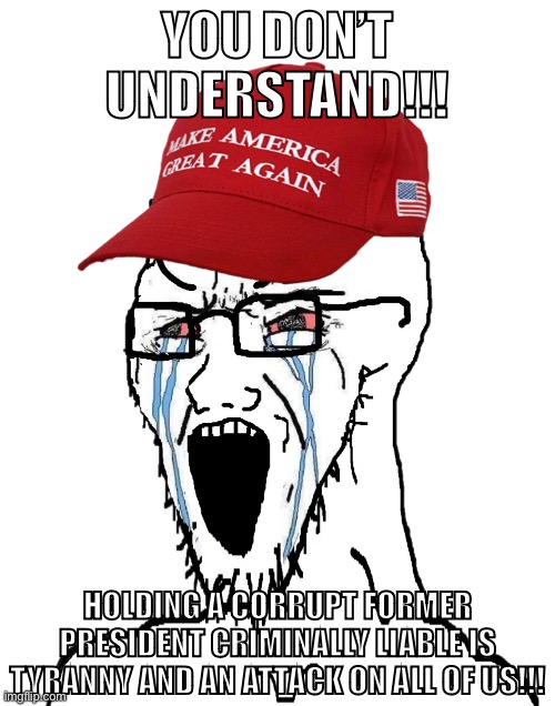 It’s tyranny ;( | YOU DON’T UNDERSTAND!!! HOLDING A CORRUPT FORMER PRESIDENT CRIMINALLY LIABLE IS TYRANNY AND AN ATTACK ON ALL OF US!!! | image tagged in crying maga wojak,conservative logic,trump,president trump,tyranny,big government | made w/ Imgflip meme maker