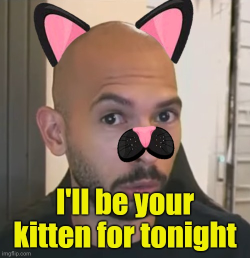 . | I'll be your kitten for tonight | made w/ Imgflip meme maker