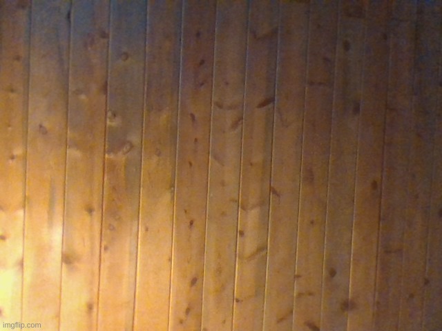 my roof | made w/ Imgflip meme maker