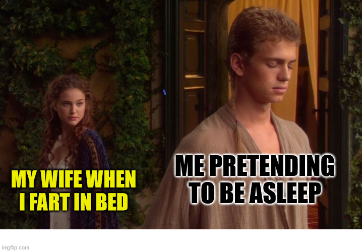 A lovers' quarrel | ME PRETENDING TO BE ASLEEP; MY WIFE WHEN I FART IN BED | image tagged in star wars prequels,fart,lovers,quarrel,star wars,anakin and padme | made w/ Imgflip meme maker