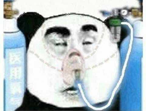 High Quality Panda Copium Blank Meme Template