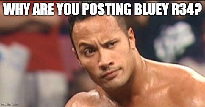 The Rock Eyebrow | WHY ARE YOU POSTING BLUEY R34? | image tagged in the rock eyebrow | made w/ Imgflip meme maker