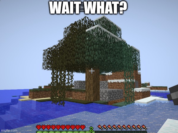 how??? | WAIT WHAT? | image tagged in minecraft,wait what | made w/ Imgflip meme maker