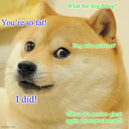 Doge Meme | What the dog doing? You’re so fat! Hey, who said that? I did! Oh no it’s another ghost again. I just peed myself. | image tagged in memes,doge | made w/ Imgflip meme maker