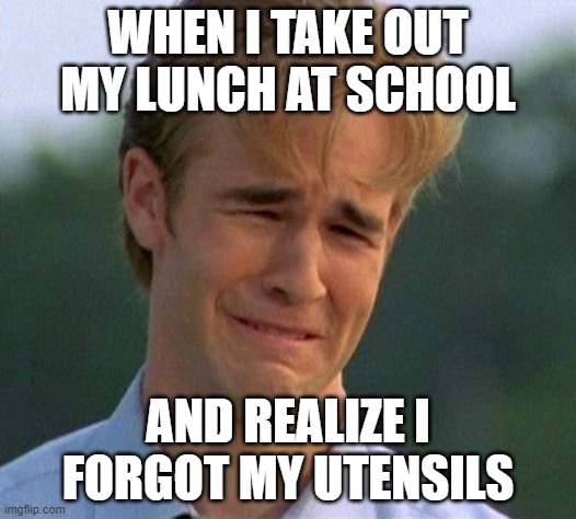 should I use hands? | WHEN I TAKE OUT MY LUNCH AT SCHOOL; AND REALIZE I FORGOT MY UTENSILS | image tagged in memes,1990s first world problems | made w/ Imgflip meme maker