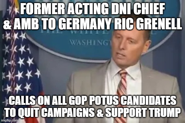 Ric Grenell - hero | FORMER ACTING DNI CHIEF & AMB TO GERMANY RIC GRENELL; CALLS ON ALL GOP POTUS CANDIDATES TO QUIT CAMPAIGNS & SUPPORT TRUMP | image tagged in memes | made w/ Imgflip meme maker