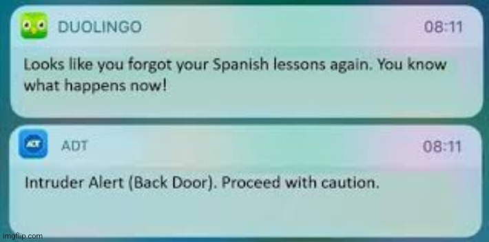 Duolingo Text Message | image tagged in duolingo text message | made w/ Imgflip meme maker