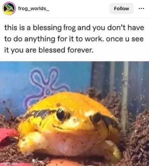 Image Title | made w/ Imgflip meme maker