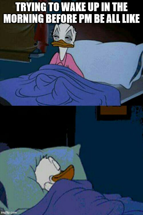 Problems that most night owls face everyday. | TRYING TO WAKE UP IN THE MORNING BEFORE PM BE ALL LIKE | image tagged in sleepy donald duck in bed | made w/ Imgflip meme maker