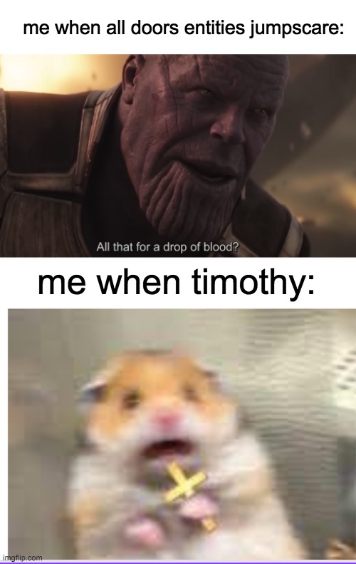 Timothy.... My mortal enemy..... | me when all doors entities jumpscare:; me when timothy: | image tagged in doors,roblox | made w/ Imgflip meme maker