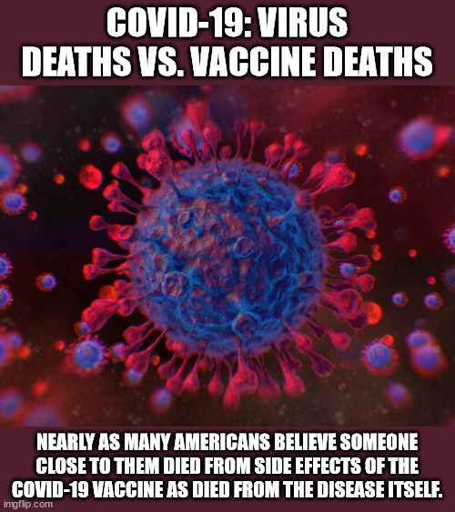 COVID-19: Virus Deaths vs. Vaccine Deaths | COVID-19: VIRUS DEATHS VS. VACCINE DEATHS; NEARLY AS MANY AMERICANS BELIEVE SOMEONE CLOSE TO THEM DIED FROM SIDE EFFECTS OF THE COVID-19 VACCINE AS DIED FROM THE DISEASE ITSELF. | image tagged in covid vaccine,greedy,big pharma,mainstream media,lies | made w/ Imgflip meme maker