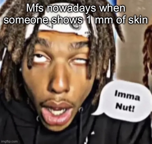 Imma Nut! | Mfs nowadays when someone shows 1 mm of skin | image tagged in imma nut | made w/ Imgflip meme maker