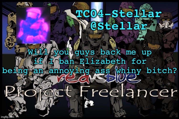 Stellar freelancer announcement | Will you guys back me up if I ban Elizabeth for being an annoying ass whiny bitch? | image tagged in stellar freelancer announcement | made w/ Imgflip meme maker