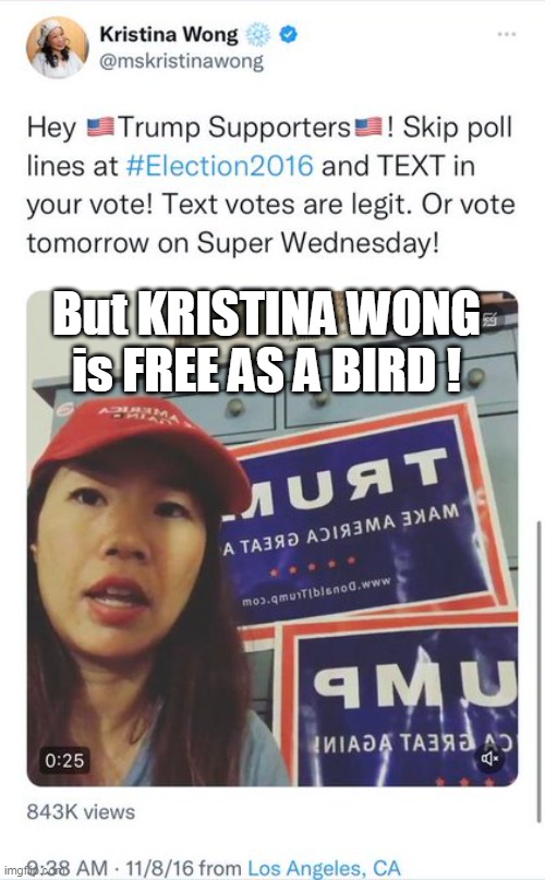 Douglass Mackey FRIES, yet . . . | But KRISTINA WONG is FREE AS A BIRD ! | image tagged in double no triple standards in the banana republic | made w/ Imgflip meme maker