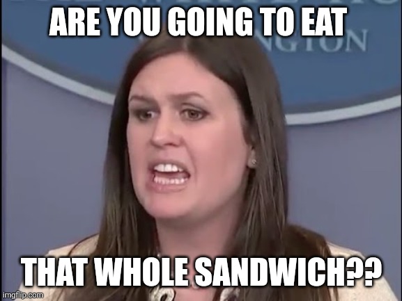 loser | ARE YOU GOING TO EAT; THAT WHOLE SANDWICH?? | image tagged in sarah sanders,loser | made w/ Imgflip meme maker