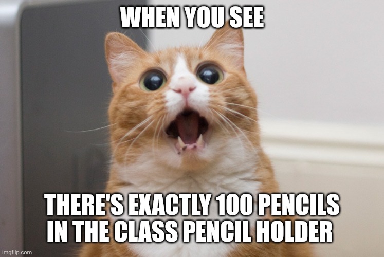 Perfect 100, perfect | WHEN YOU SEE; THERE'S EXACTLY 100 PENCILS IN THE CLASS PENCIL HOLDER | image tagged in amazed cat | made w/ Imgflip meme maker