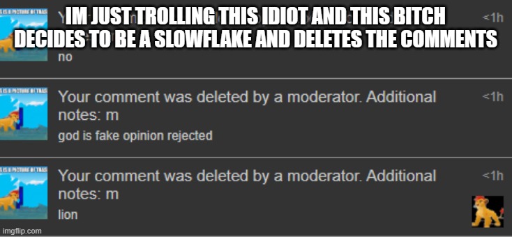 IM JUST TROLLING THIS IDIOT AND THIS BITCH DECIDES TO BE A SLOWFLAKE AND DELETES THE COMMENTS | made w/ Imgflip meme maker