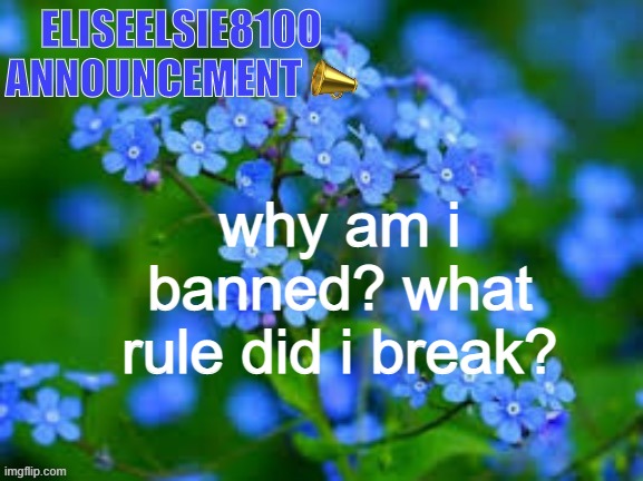 EliseElsie8100 Announcement | why am i banned? what rule did i break? | image tagged in eliseelsie8100 announcement | made w/ Imgflip meme maker