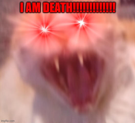 Angry cat | I AM DEATH!!!!!!!!!!!!! | image tagged in angry cat | made w/ Imgflip meme maker