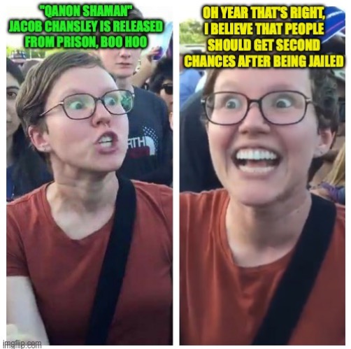 This is what you get when liberals want to shorten prison sentences | image tagged in hypocrite liberal,liberal hypocrisy,qanon,crime,prison,sentences | made w/ Imgflip meme maker