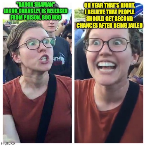 This is what you get when liberals want to shorten prison sentences | image tagged in hypocrite liberal,liberal hypocrisy,qanon,crime,prison,sentences | made w/ Imgflip meme maker