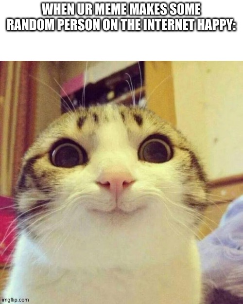 Clever title | WHEN UR MEME MAKES SOME RANDOM PERSON ON THE INTERNET HAPPY: | image tagged in memes,smiling cat | made w/ Imgflip meme maker